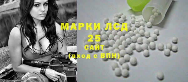 сатива Заводоуковск