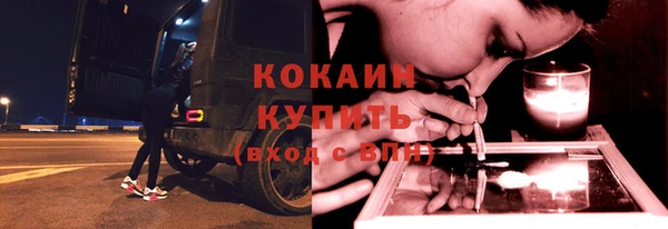 сатива Заводоуковск