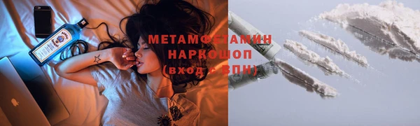 сатива Заводоуковск