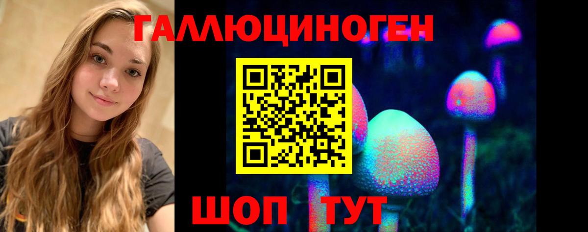 Галлюциногенные грибы Psilocybe  Вход с VPN  Псилоцибиновые грибы Psilocybe  Первоуральск 